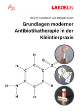 Grundlagen moderner Antibiotikatherapie in der Kleintierpraxis - Jörg W. Schäffner, Babette Klein