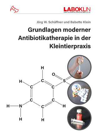 Grundlagen moderner Antibiotikatherapie in der Kleintierpraxis - Jörg W. Schäffner; Babette Klein