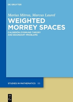 Weighted Morrey Spaces - Marcus Laurel, Marius Mitrea