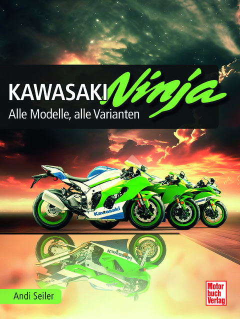 Kawasaki Ninja - Andi Seiler