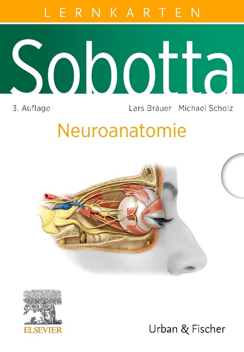 Sobotta Lernkarten Neuroanatomie - Lars Bräuer, Michael Scholz