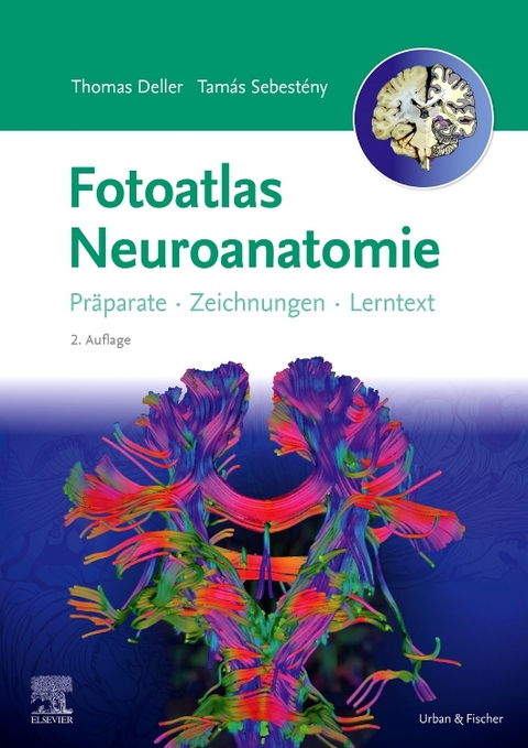 Fotoatlas Neuroanatomie - Thomas Deller, Tamás Sebestény, Katrin Eichler, Stephanie Tritt