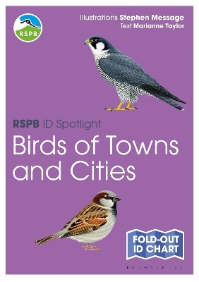 RSPB ID Spotlight - Birds of Towns and Cities - Marianne Taylor