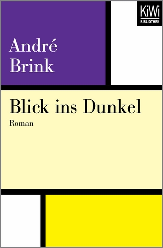 Blick ins Dunkel - André Brink