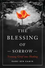 Blessing of Sorrow -  Ben Kamin