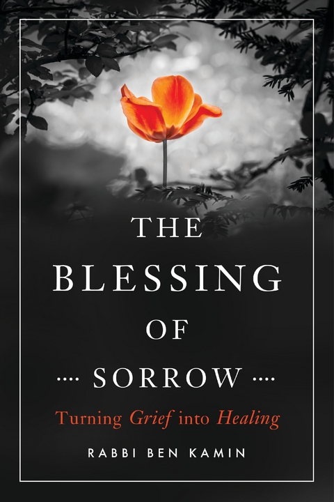 Blessing of Sorrow -  Ben Kamin