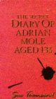 Secret Diary of Adrian Mole Aged 13 3/4, The