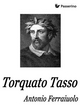 Torquato Tasso Antonio Ferraiuolo Author