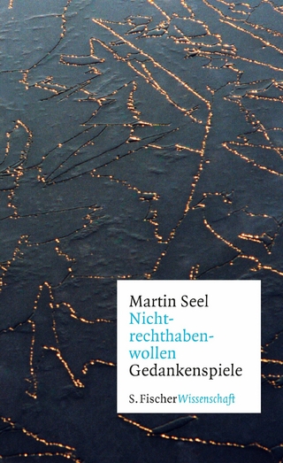 Nichtrechthabenwollen - Martin Seel