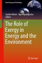 The Role of Exergy in Energy and the Environment - 