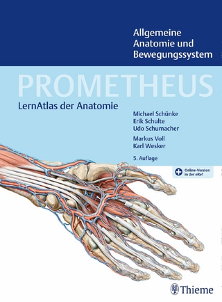 PROMETHEUS Allgemeine Anatomie und Bewegungssystem - Erik Schulte; Udo Schumacher; Michael Schünke