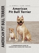 American Pit Bull Terrier - F. Favorito