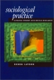 Sociological Practice - Derek Layder