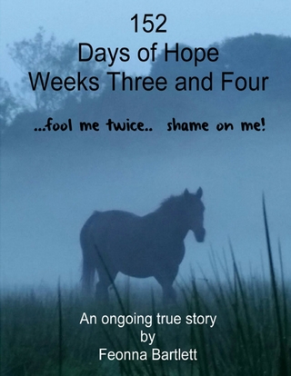 152 Days of Hope: Weeks Three and Four - Fool Me Twice, Shame On Me... - Bartlett Fee Bartlett