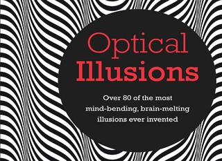 Optical Illusions - Tim Leng