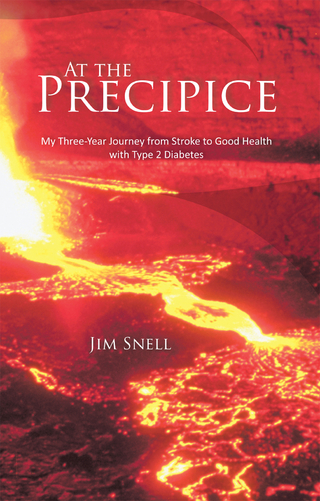 At the Precipice - Jim Snell