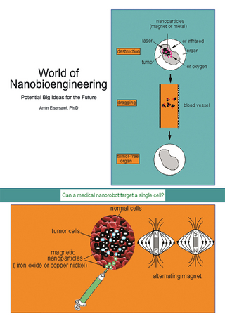 World of Nanobioengineering - Amin Elsersawi