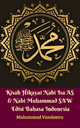 Kisah Hikayat Nabi Isa AS & Nabi Muhammad SAW Edisi Bahasa Indonesia - Muhammad Vandestra;  Muhammad Vandestra