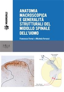 Anatomia macroscopica e generalità strutturali del midollo spinale dell'uomo - Michela Ferrucci; Francesco Fornai