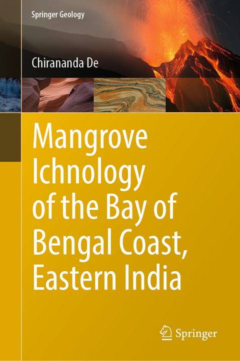 Mangrove Ichnology of the Bay of Bengal Coast, Eastern India - Chirananda De