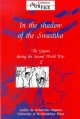 The Gypsies During the Second World War: In the Shadow of the Swastika v. 2 (Interface Collection): Volume 2: The Gypsies during the Second World War