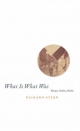 What is What Was - Richard Stern