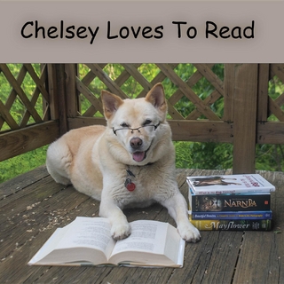 Chelsey Loves To Read