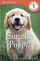 Surprise Puppy! - Judith Hodge