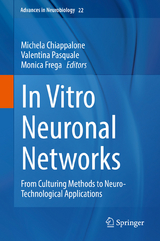 In Vitro Neuronal Networks - 