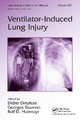 Ventilator-Induced Lung Injury - Didier Dreyfuss; Georges Saumon; Rolf Hubmayr