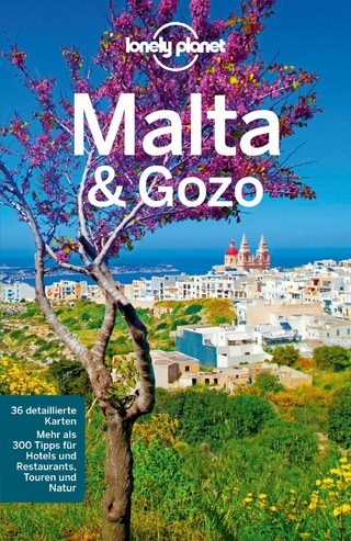 Lonely Planet Reiseführer Malta & Gozo - Abigail Blasi