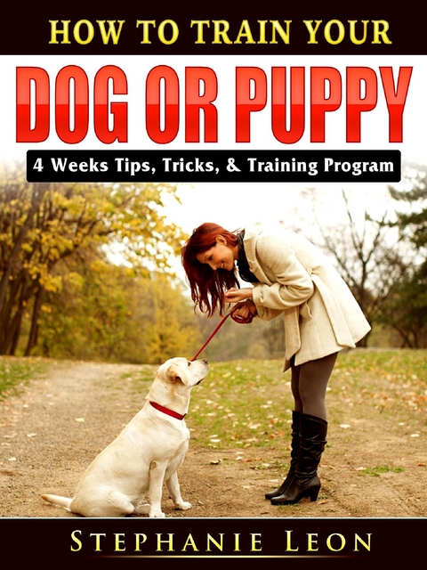 How to Train Your Dog or Puppy - Stephanie Leon