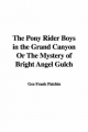 Pony Rider Boys in the Grand Canyon Or The Mystery of Bright Angel Gulch - Gee Frank Patchin
