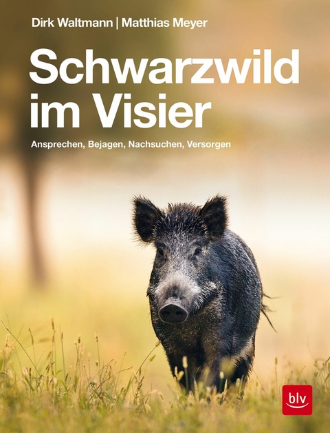 Schwarzwild im Visier -  Matthias Meyer,  Dirk Waltmann