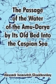 Passage of the Water of the Amu-Darya by Its Old Bed Into the Caspian Sea - Alexandr Ivanovitch Gloukhovskoy