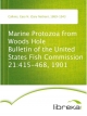 Marine Protozoa from Woods Hole Bulletin of the United States Fish Commission 21:415-468, 1901 - Gary N. (Gary Nathan) Calkins