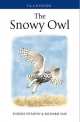 Snowy Owl - Potapov Eugene Potapov;  Sale Richard Sale