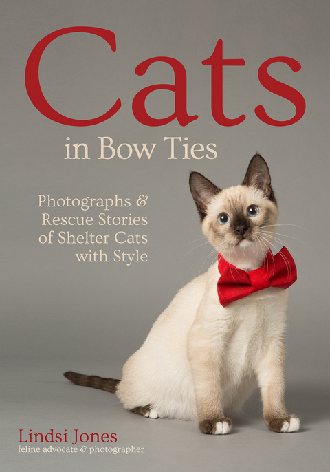 Cats in Bow Ties -  Lindsi Jones