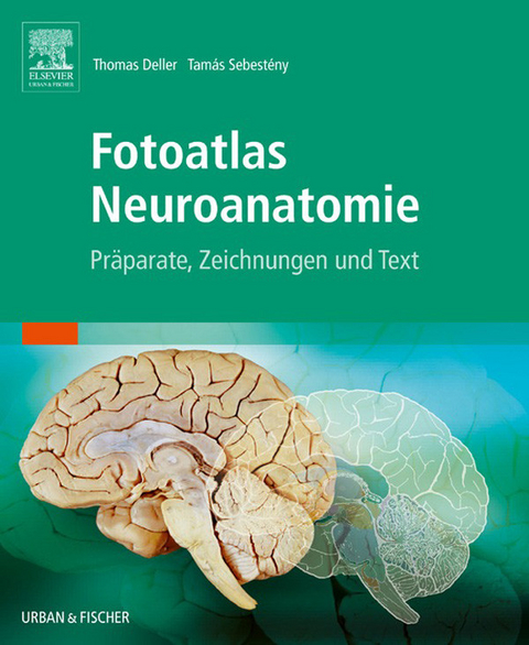 Fotoatlas Neuroanatomie -  Thomas Deller,  Tamas Sebesteny