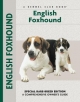 English Foxhound - Chelsea Devon
