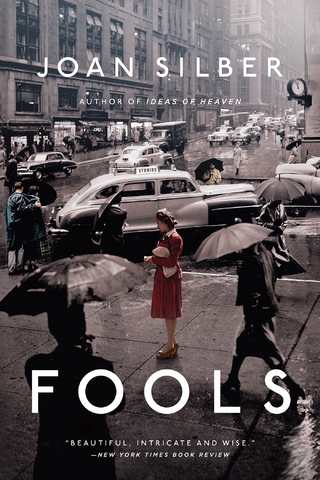 Fools: Stories - Joan Silber