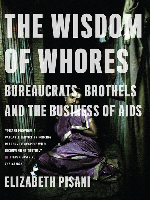 The Wisdom of Whores: Bureaucrats, Brothels, and the Business of AIDS - Elizabeth Pisani
