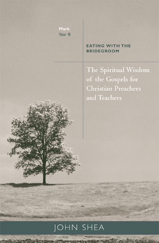 The Spiritual Wisdom of Gospels for Christian Preachers and Teachers - John Shea