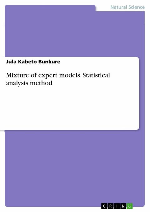 Mixture of expert models. Statistical analysis method - Jula Kabeto Bunkure