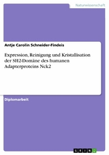 Expression, Reinigung und Kristallisation der SH2-Domäne des humanen Adapterproteins Nck2 - Antje Carolin Schneider-Findeis