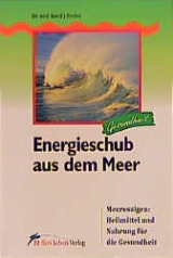 Energieschub aus dem Meer - Karel J Probst