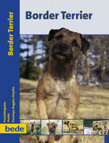 Border Terrier - Penelope Ruggles-Smythe