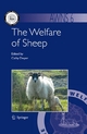 The Welfare of Sheep - Cathy Dwyer