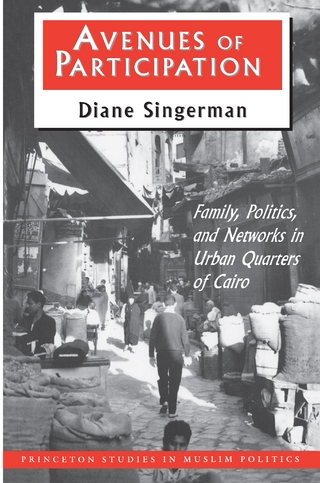 Avenues of Participation - Diane Singerman