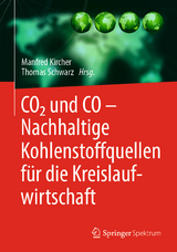 CO2 und CO – Nachhaltige Kohlenstoffquellen für die Kreislaufwirtschaft - 